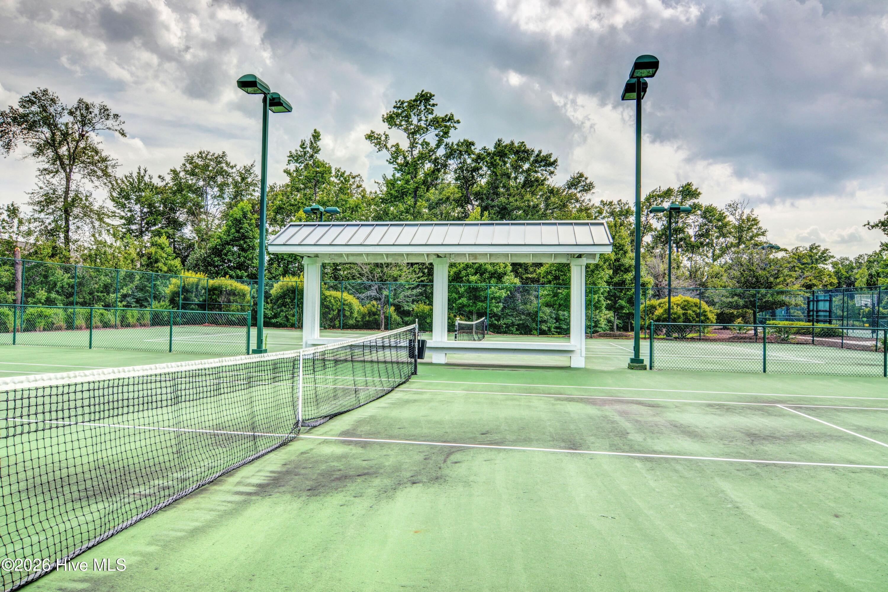 100548554 | Photo 41