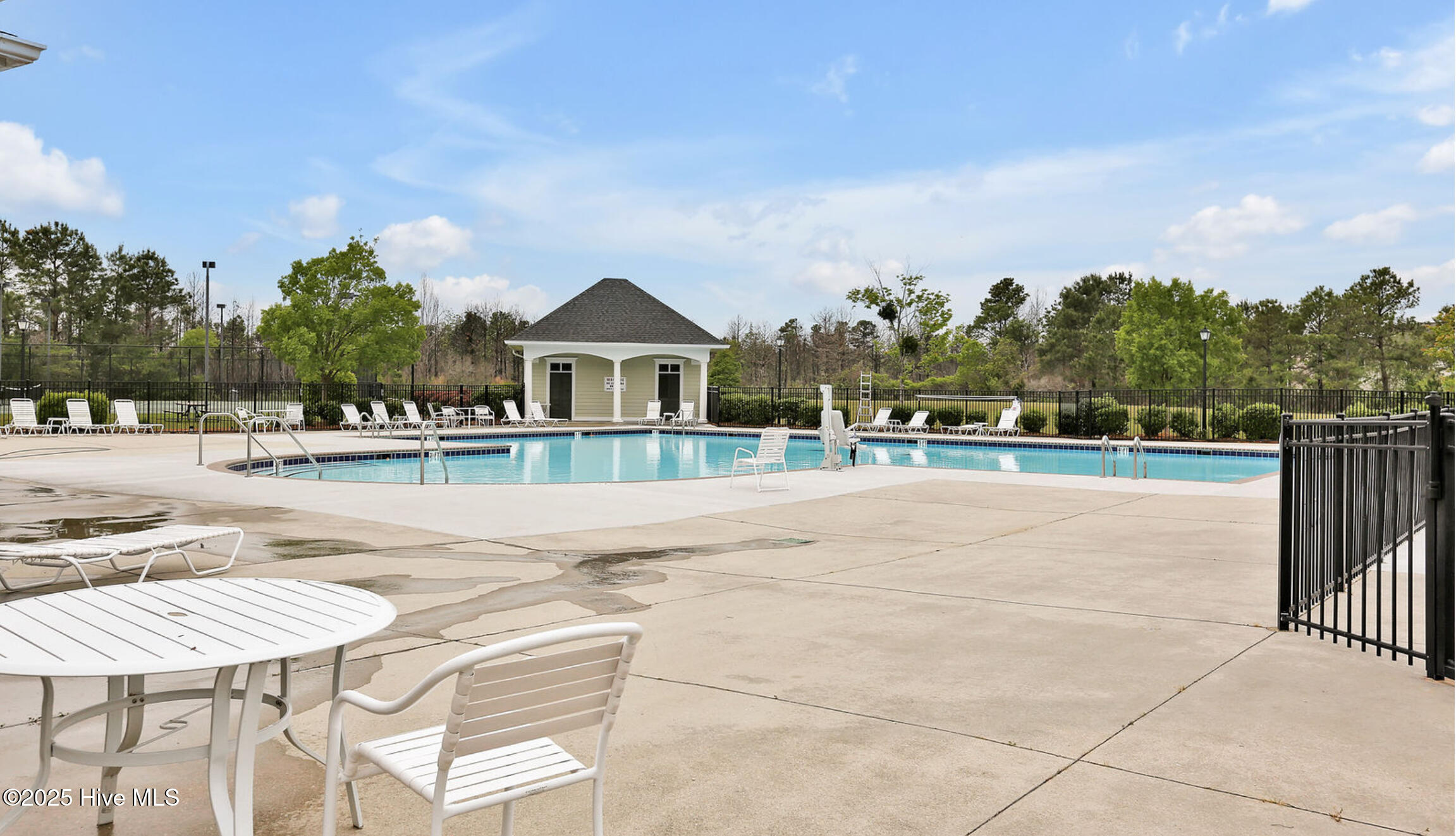 100547163 | Photo 42