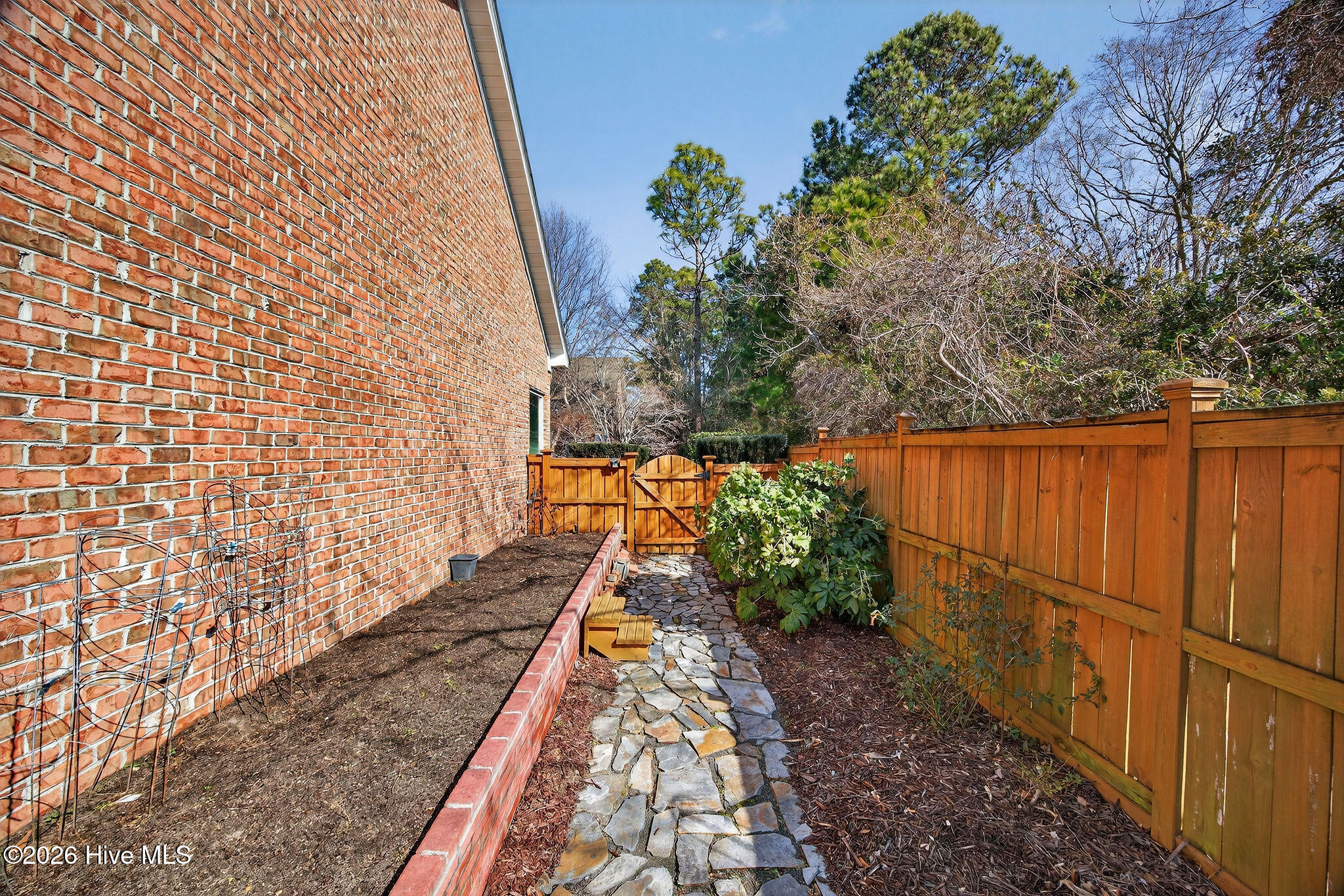 100554717 | Photo 44