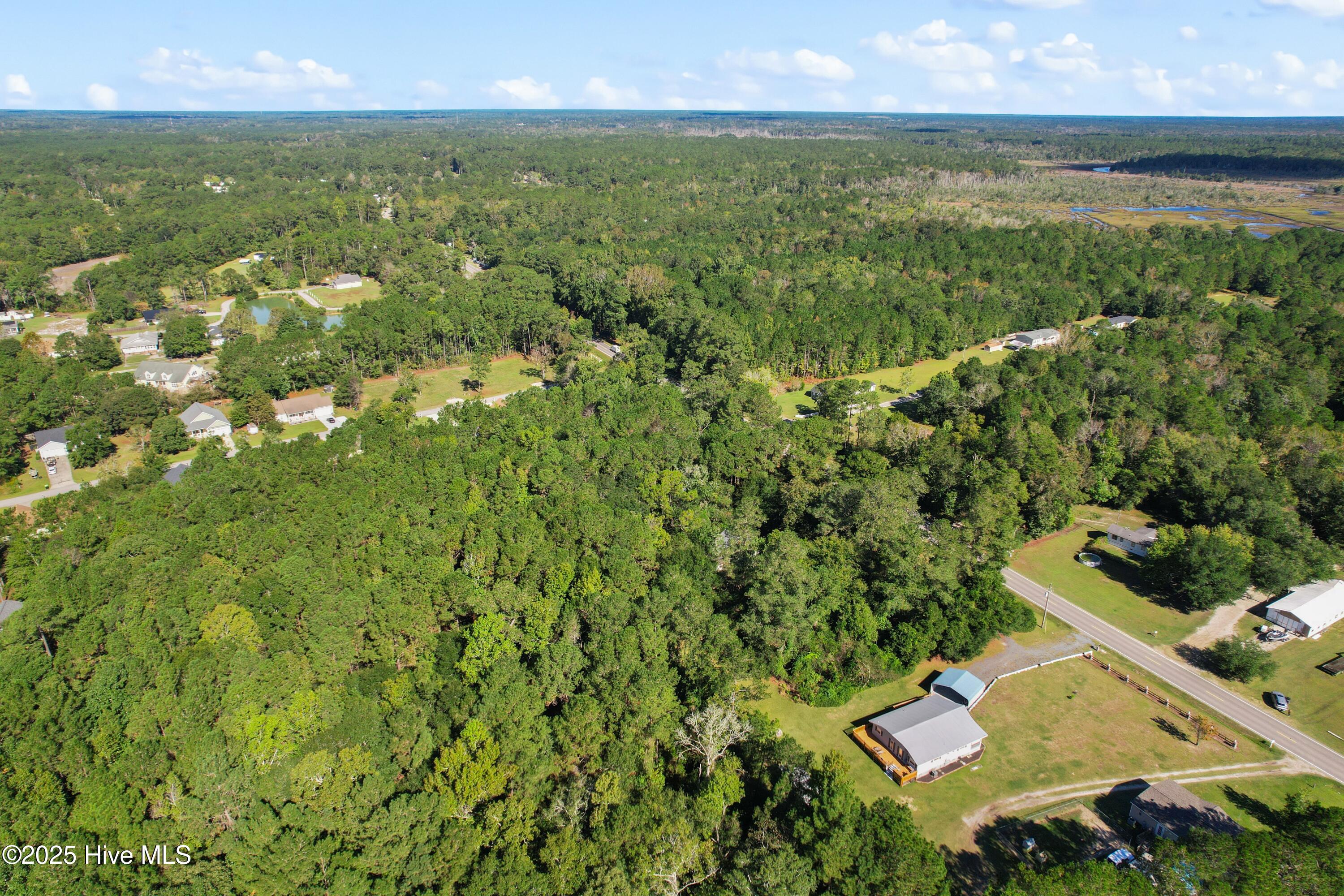 100538824 | Photo 10