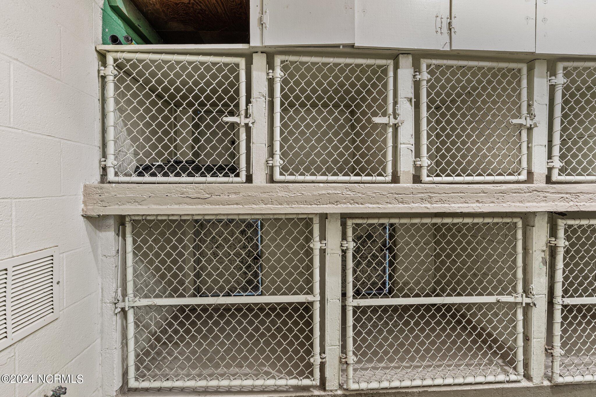 100517313 | Photo 33