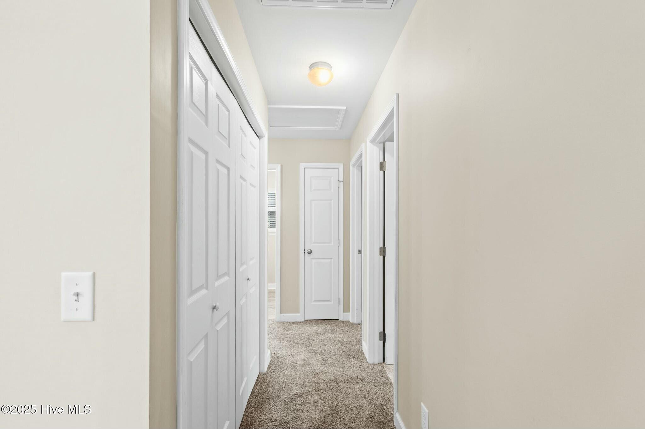 100503089 | Photo 33