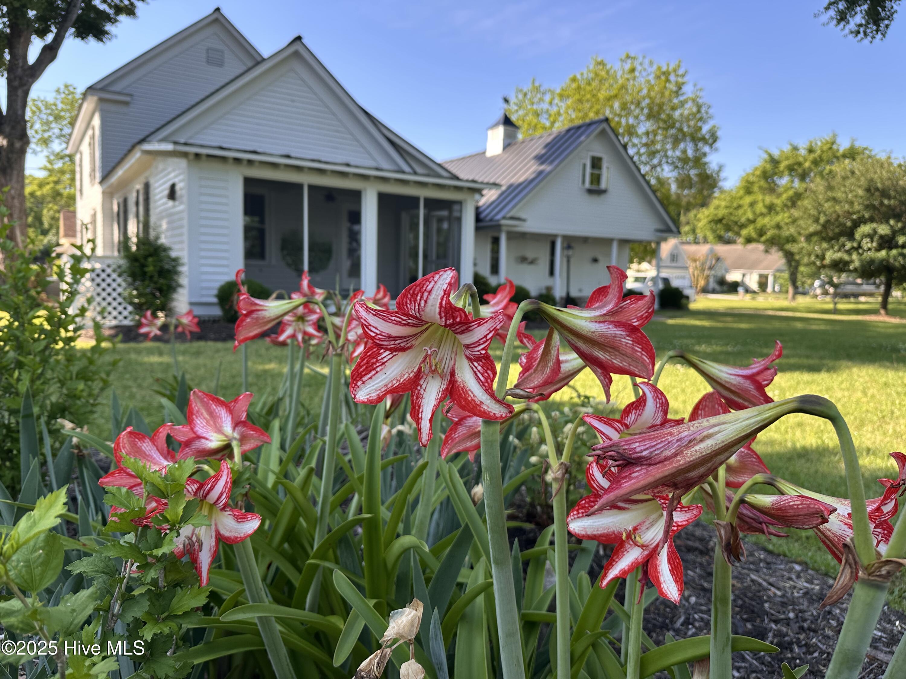 100502870 | Photo 58