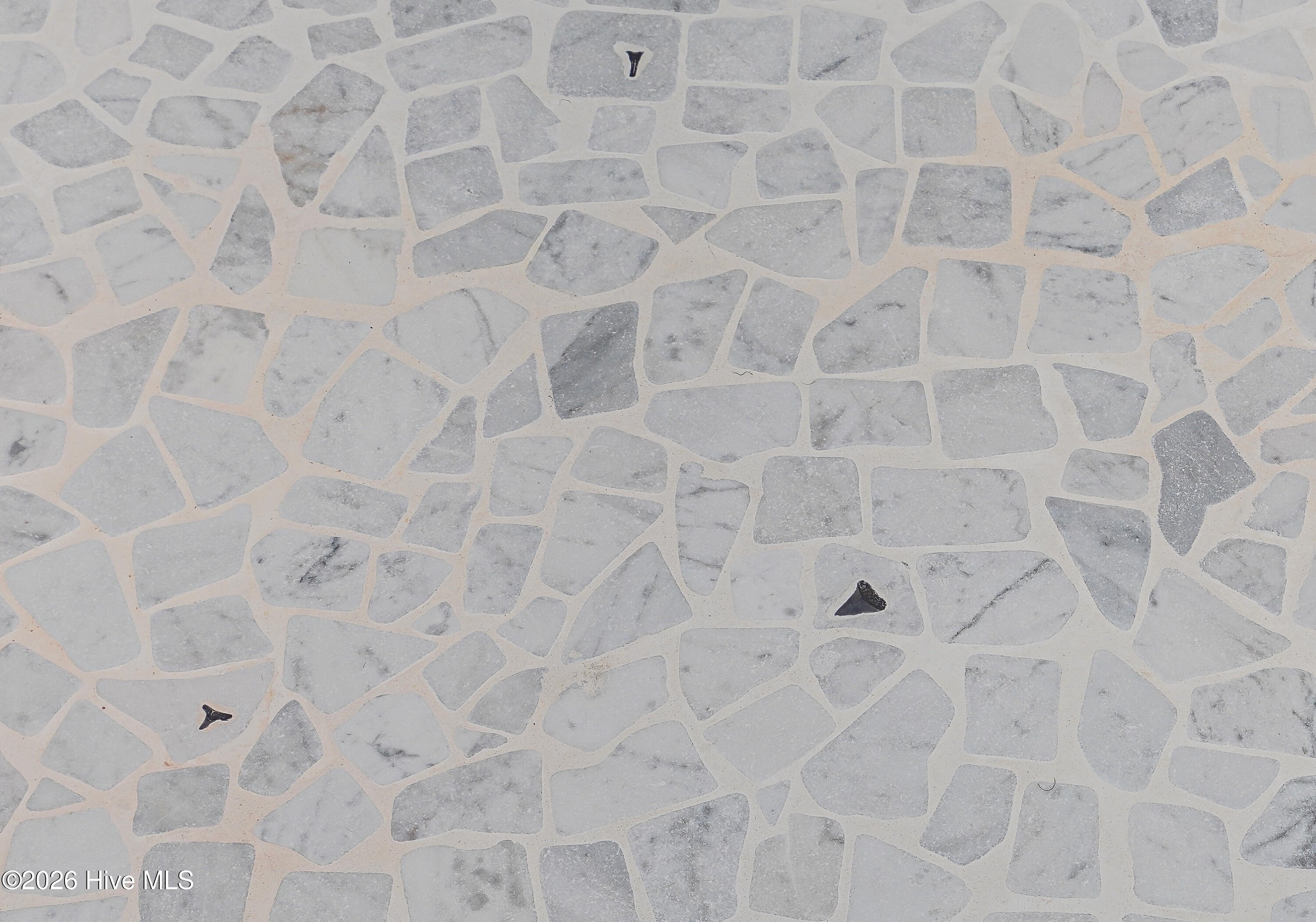 100559140 | Photo 31