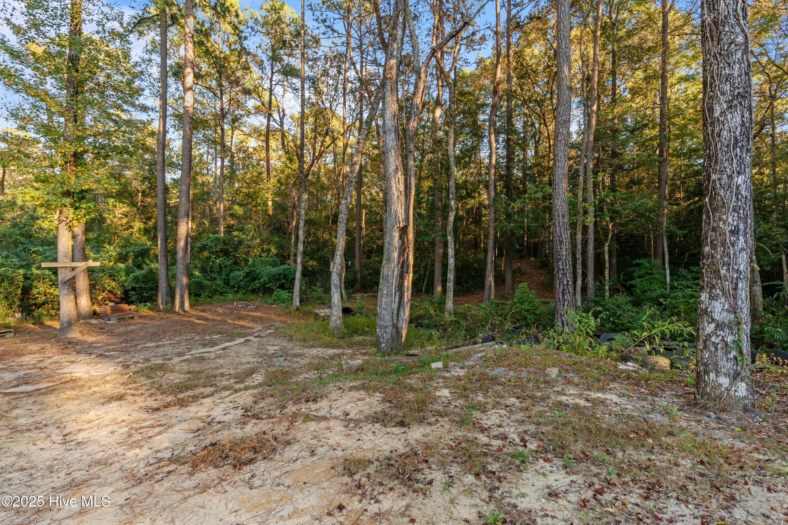 Homes for sale in Leland, NC | 162 Sandy Creek Dr, Leland, NC 28451 | MLS# 100538120