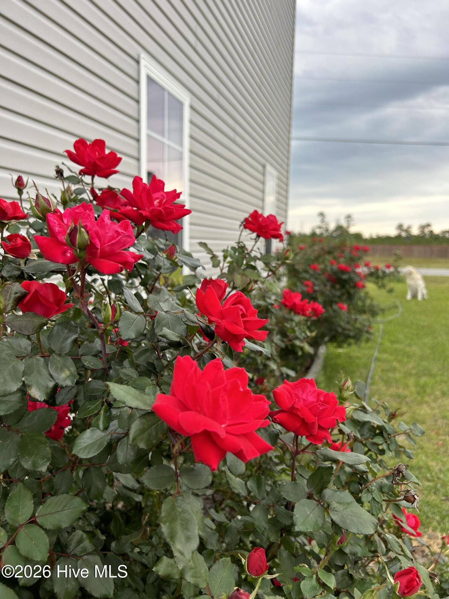 100549687 | Photo 79