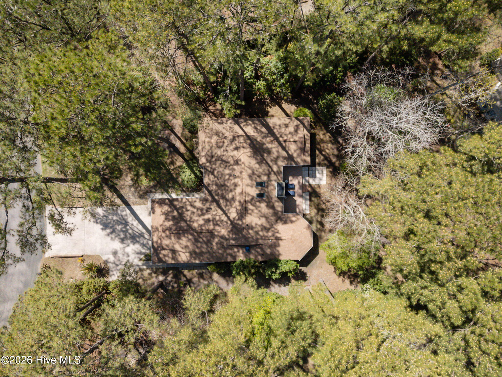 100561214 | Photo 41