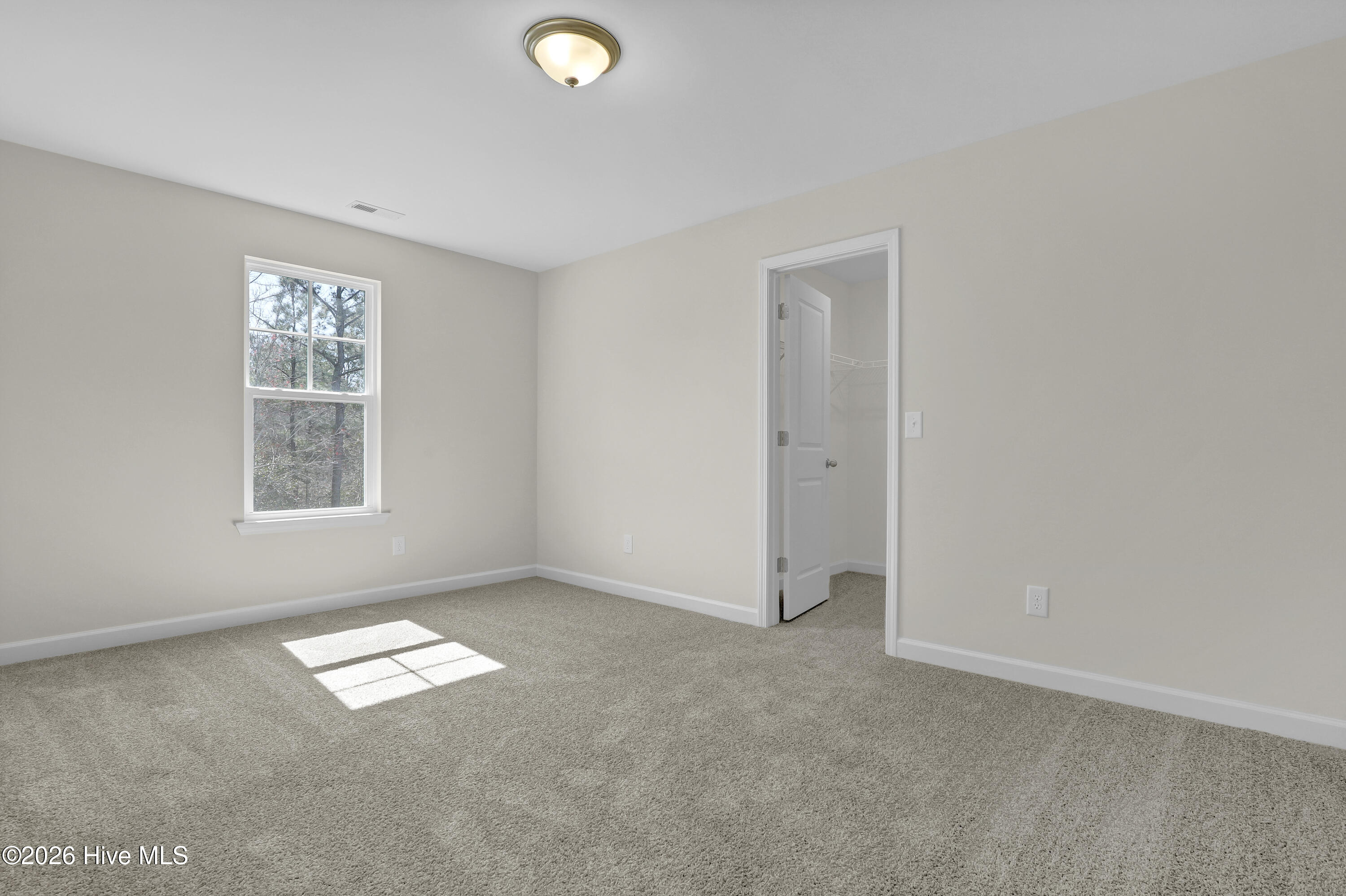 100509552 | Photo 24