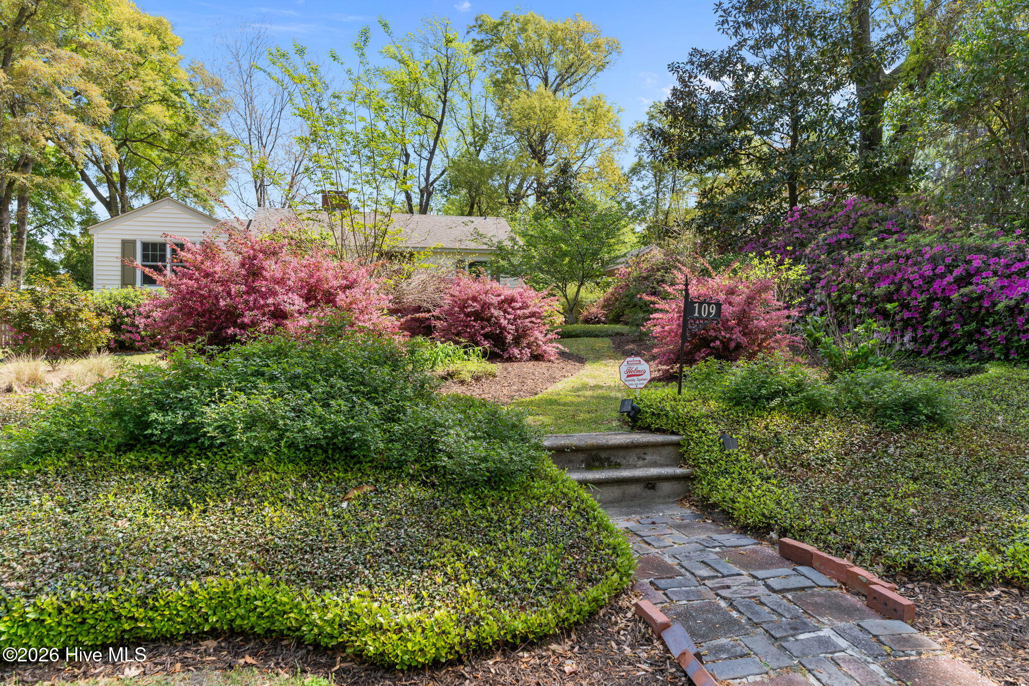 100565544 | Photo 43