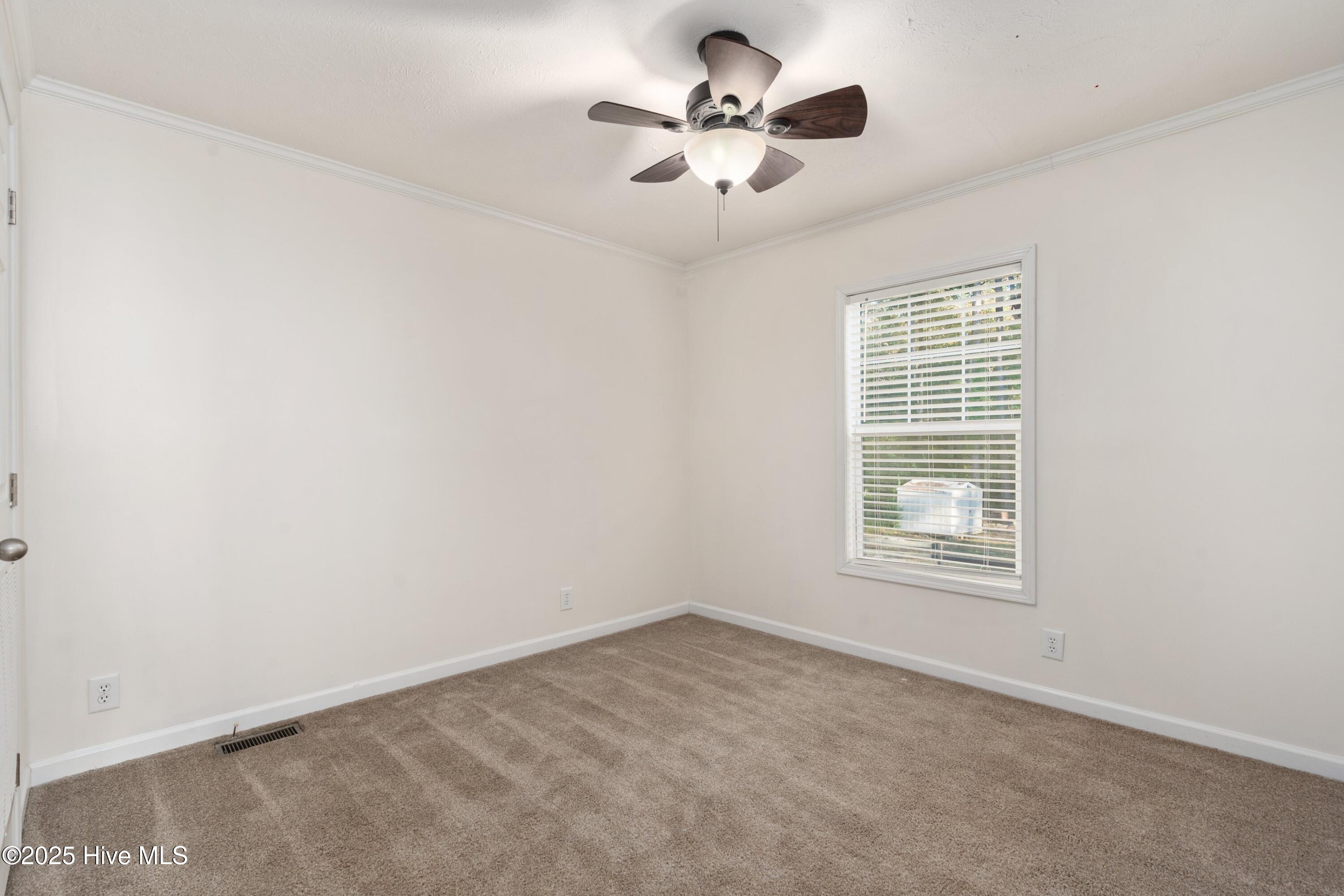 100538120 | Photo 19