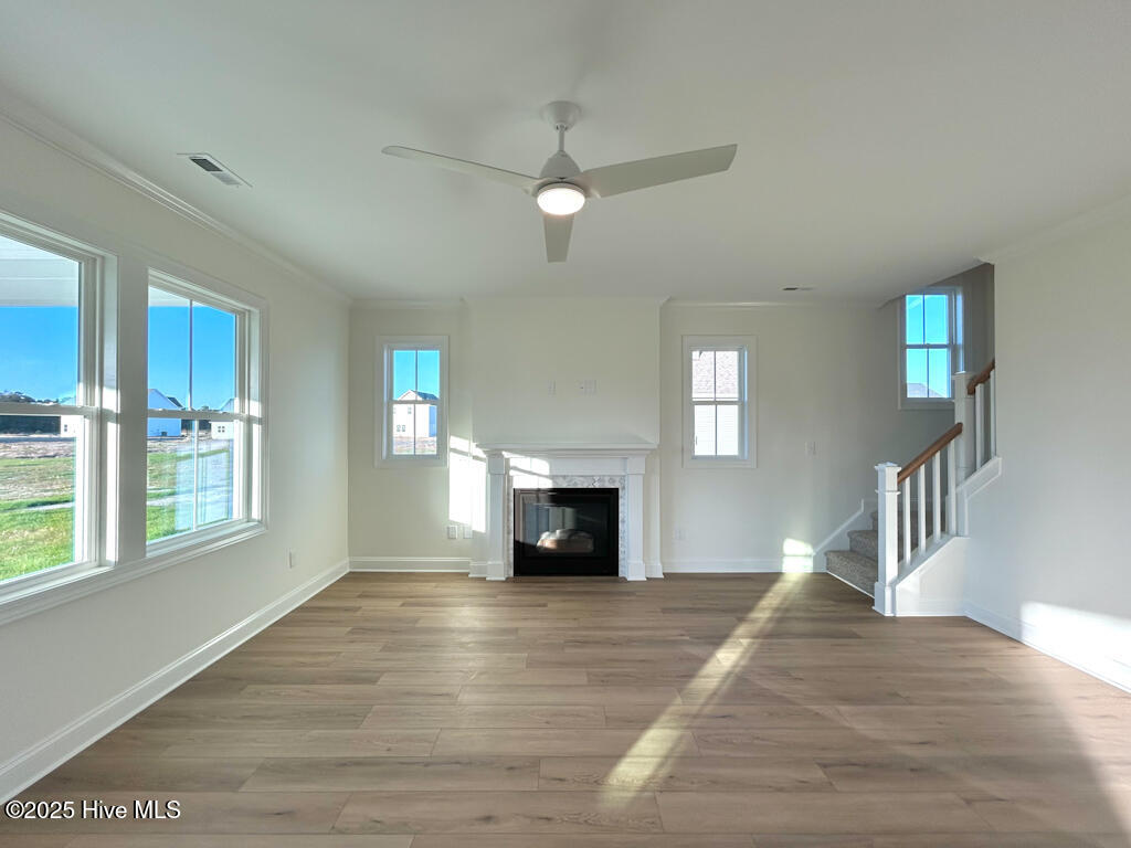 100510089 | Photo 22