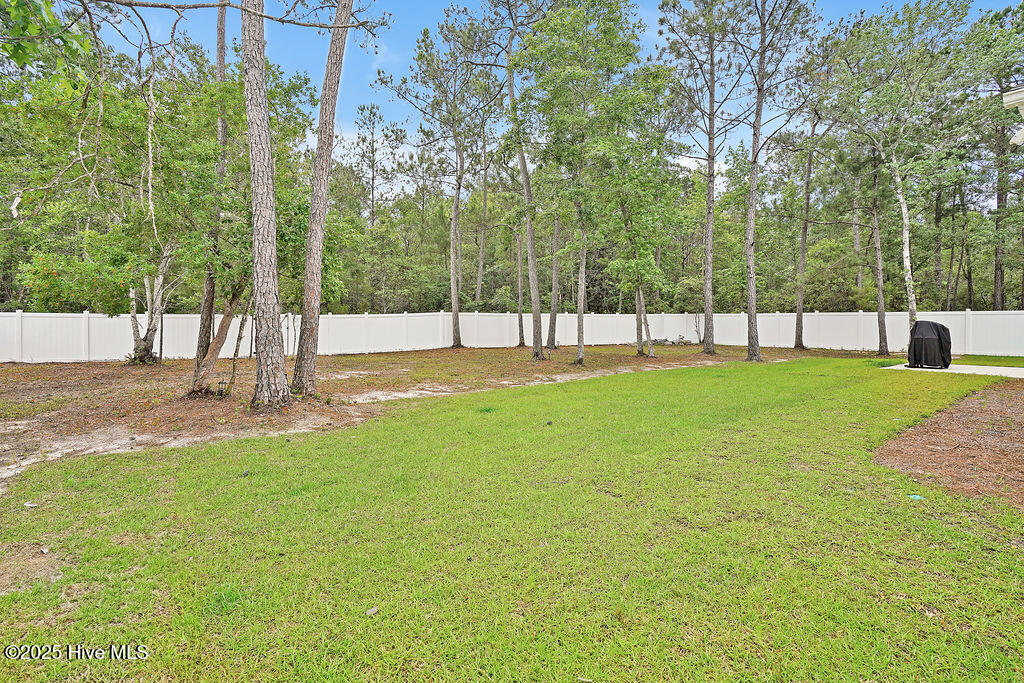 100563599 | Photo 33