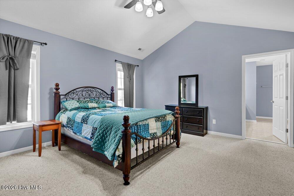 100567145 | Photo 21