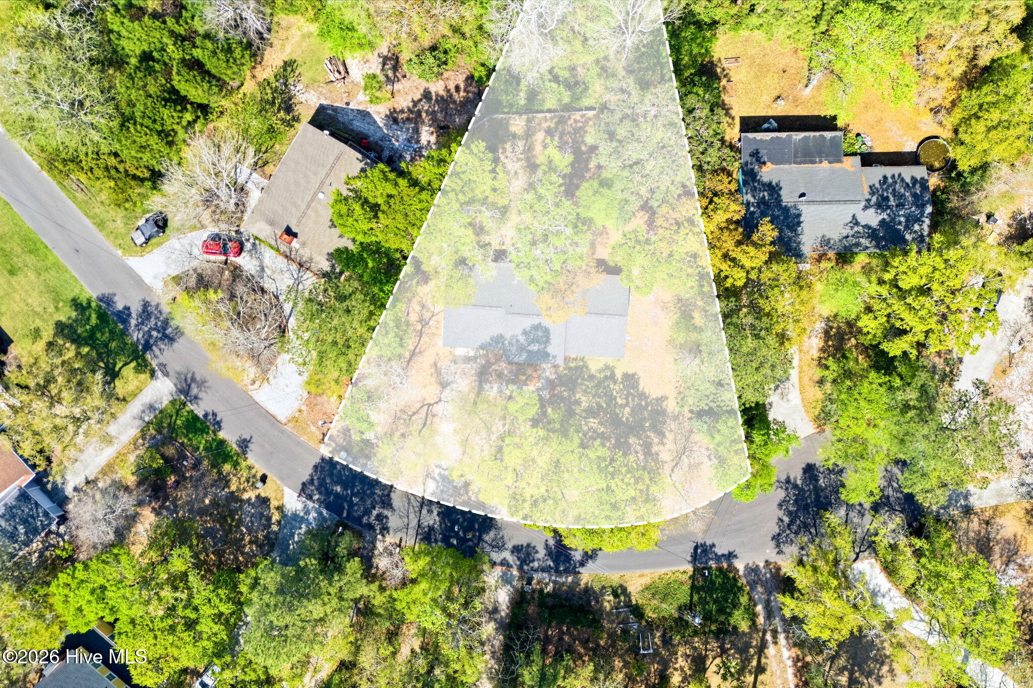 100564618 | Photo 10