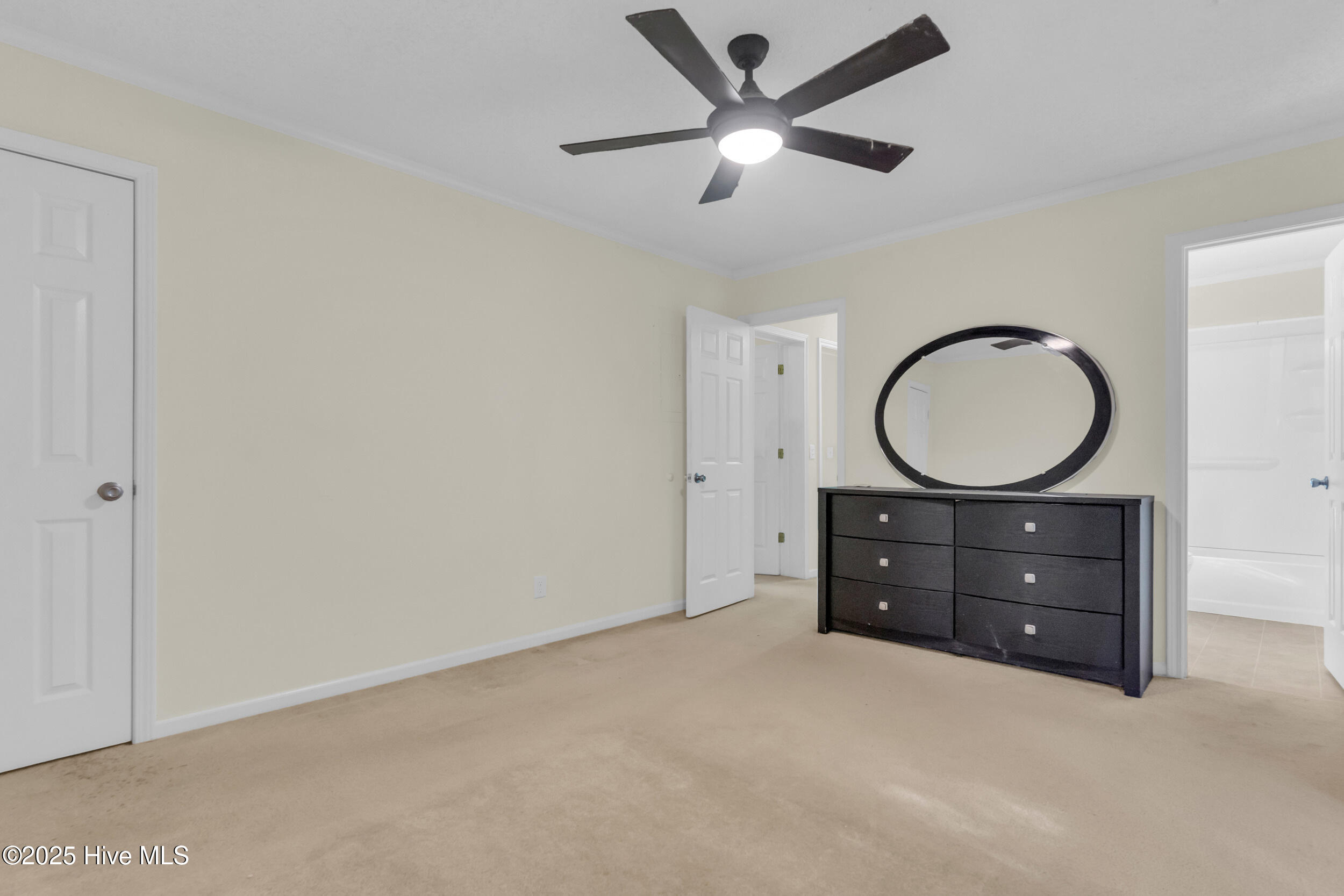 100537438 | Photo 13