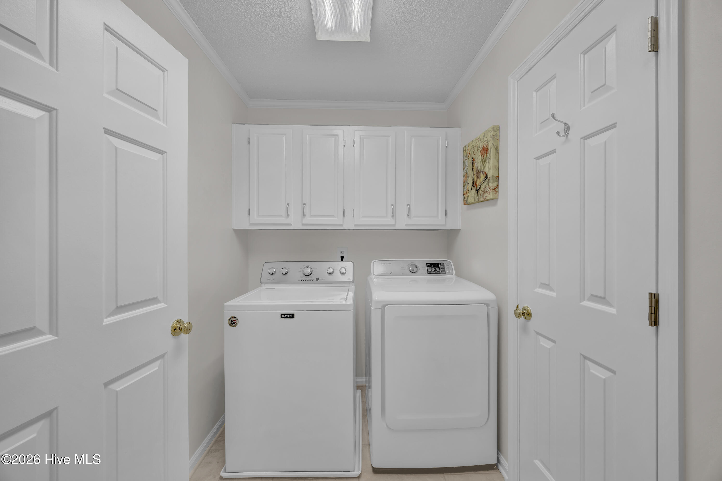 100567134 | Photo 24