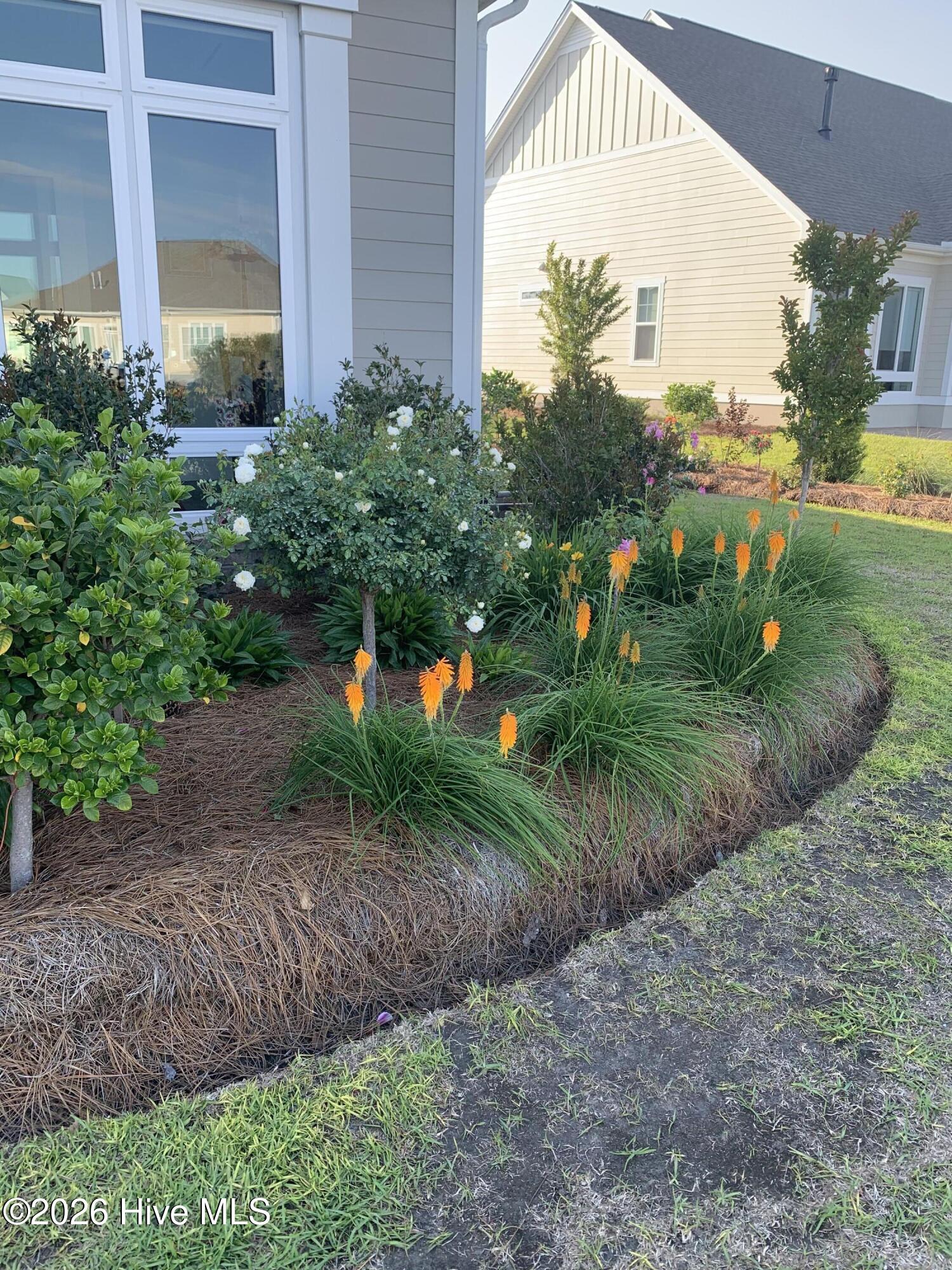 100560288 | Photo 82