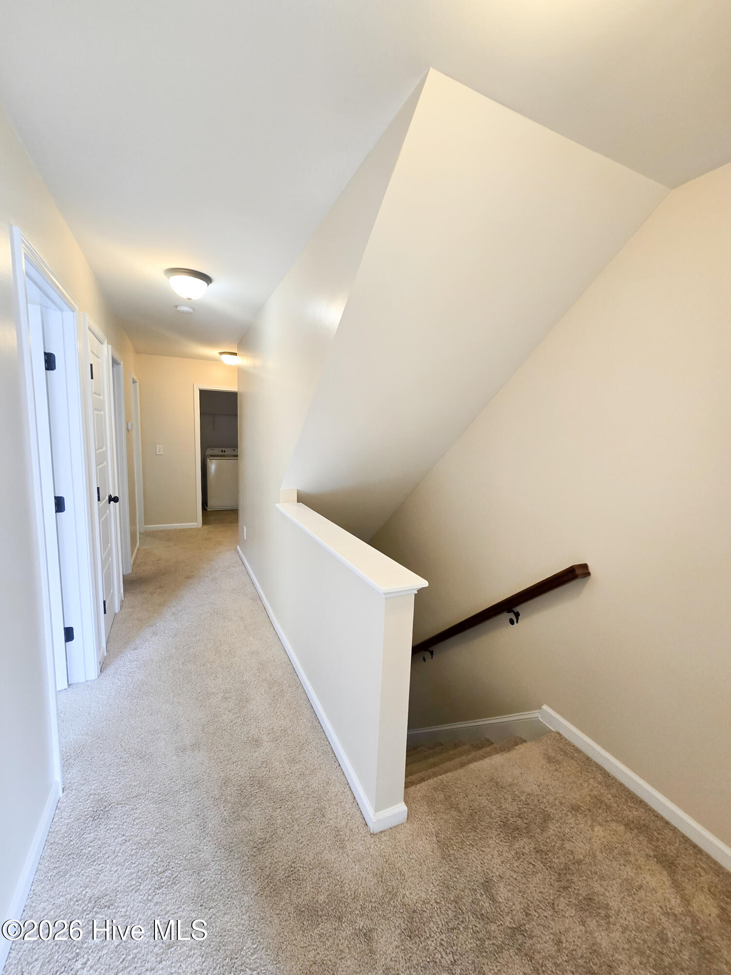 100557279 | Photo 25