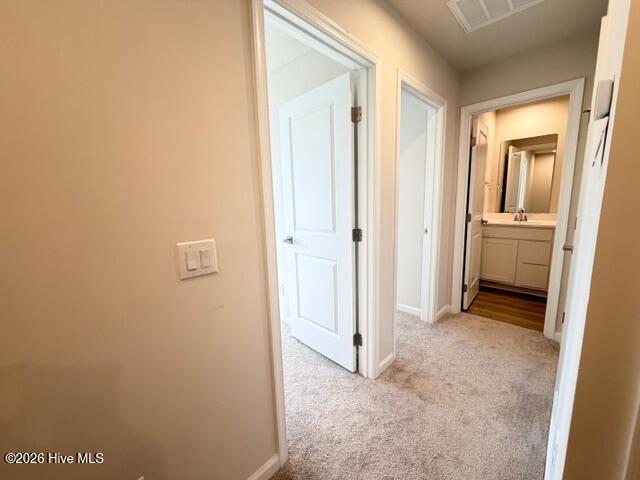 100550616 | Photo 16