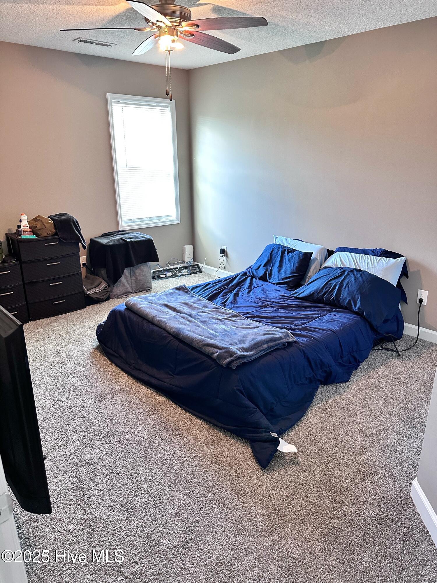 100545917 | Photo 19