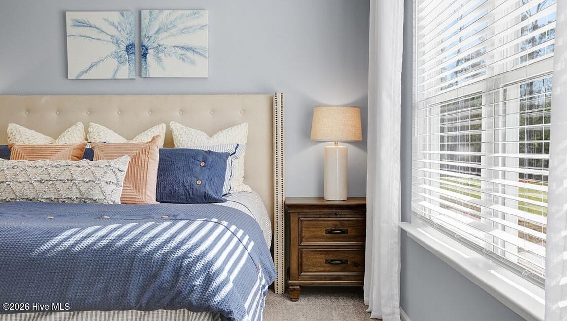 100568721 | Photo 16