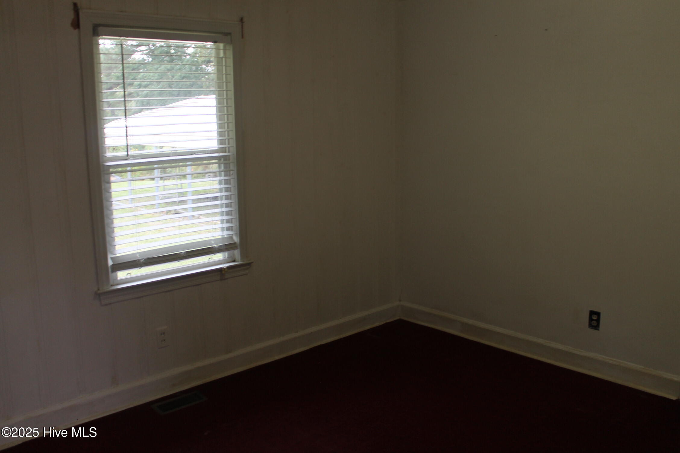 100535737 | Photo 17