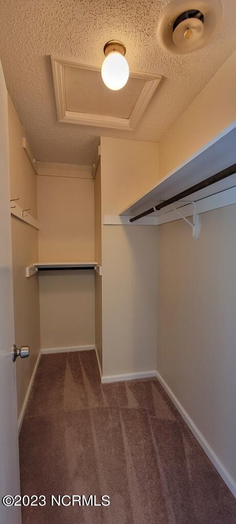 100544566 | Photo 24