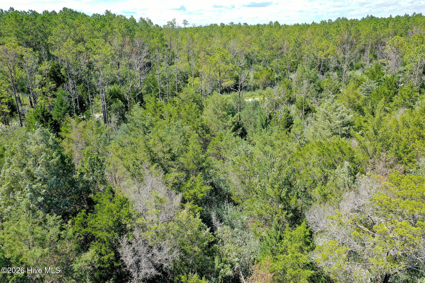 4.57 Acres Meekins Road,Bayboro