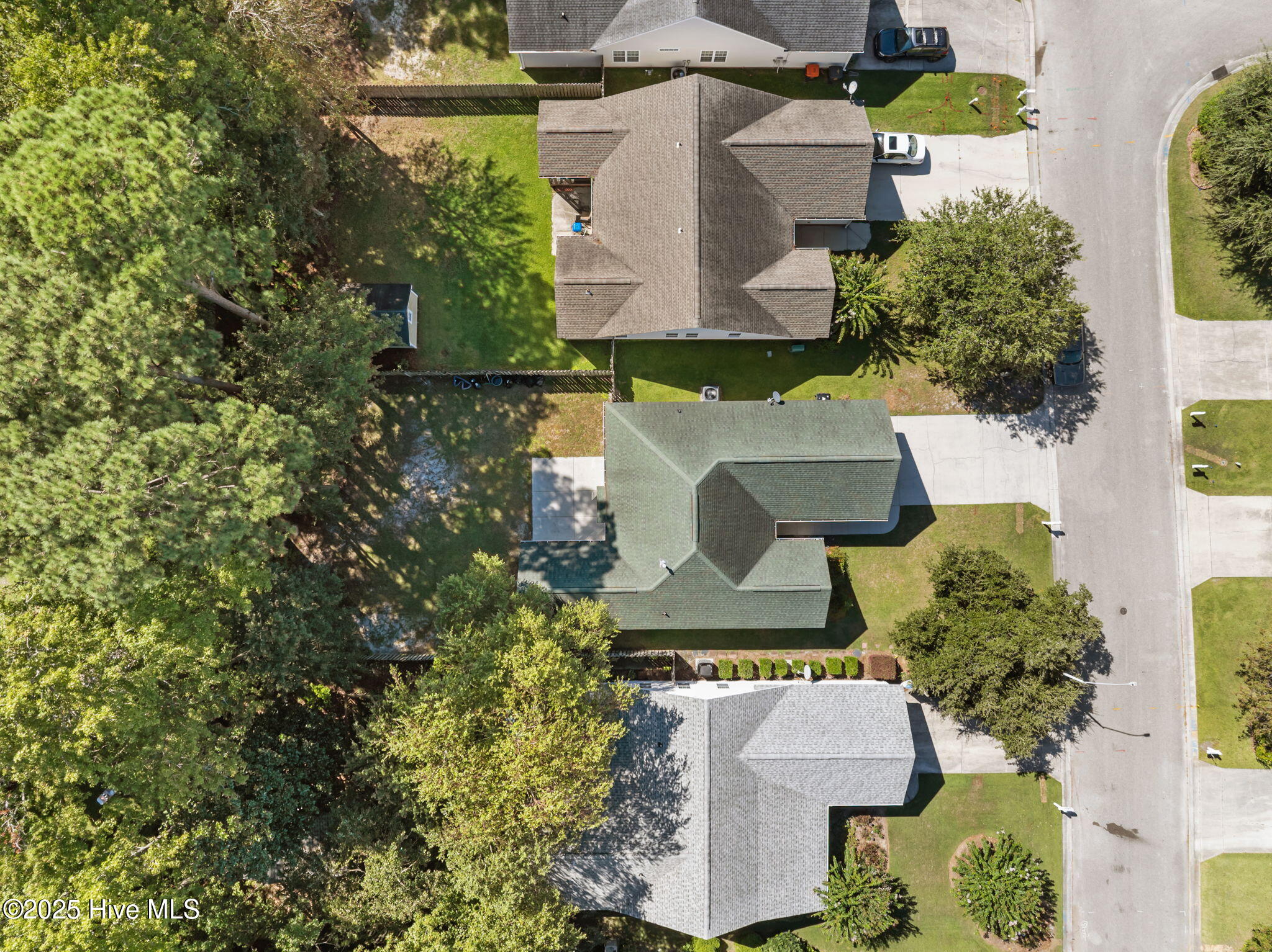 100529967 | Photo 41