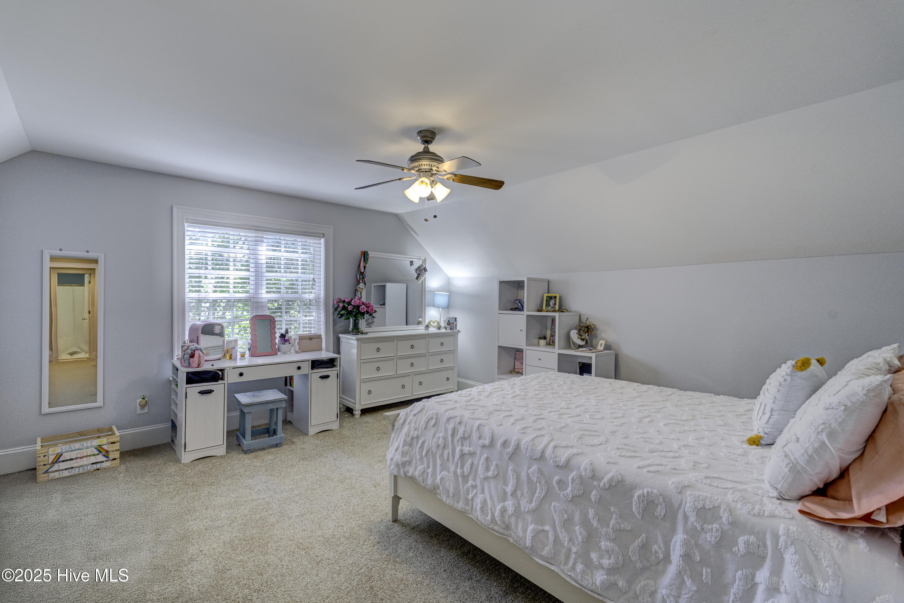 100535158 | Photo 43