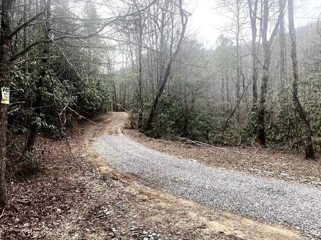 Exterior photo of 0 Flea Mountain Road, Murphy, NC 28906. MLS: 98544041