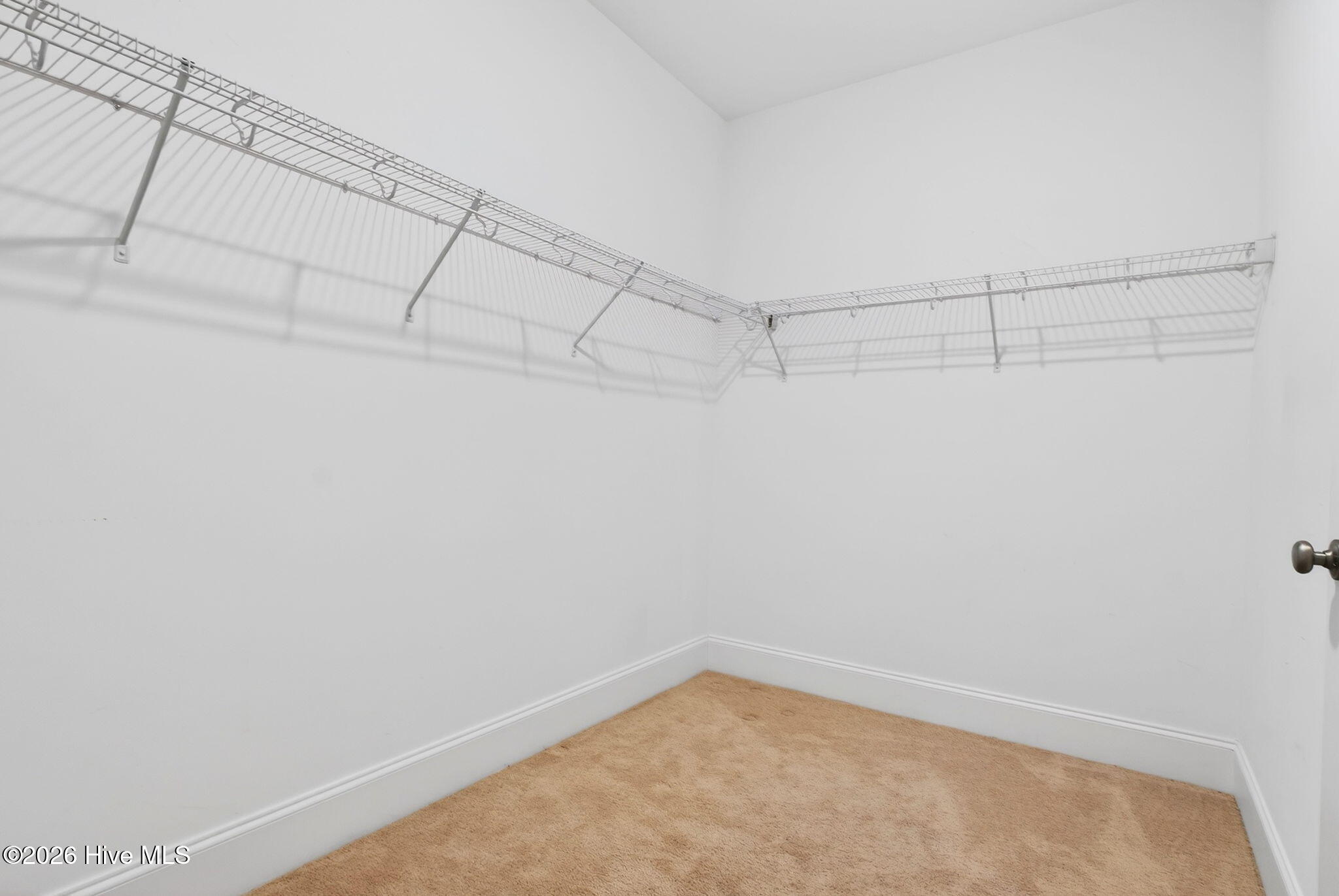 100563252 | Photo 30