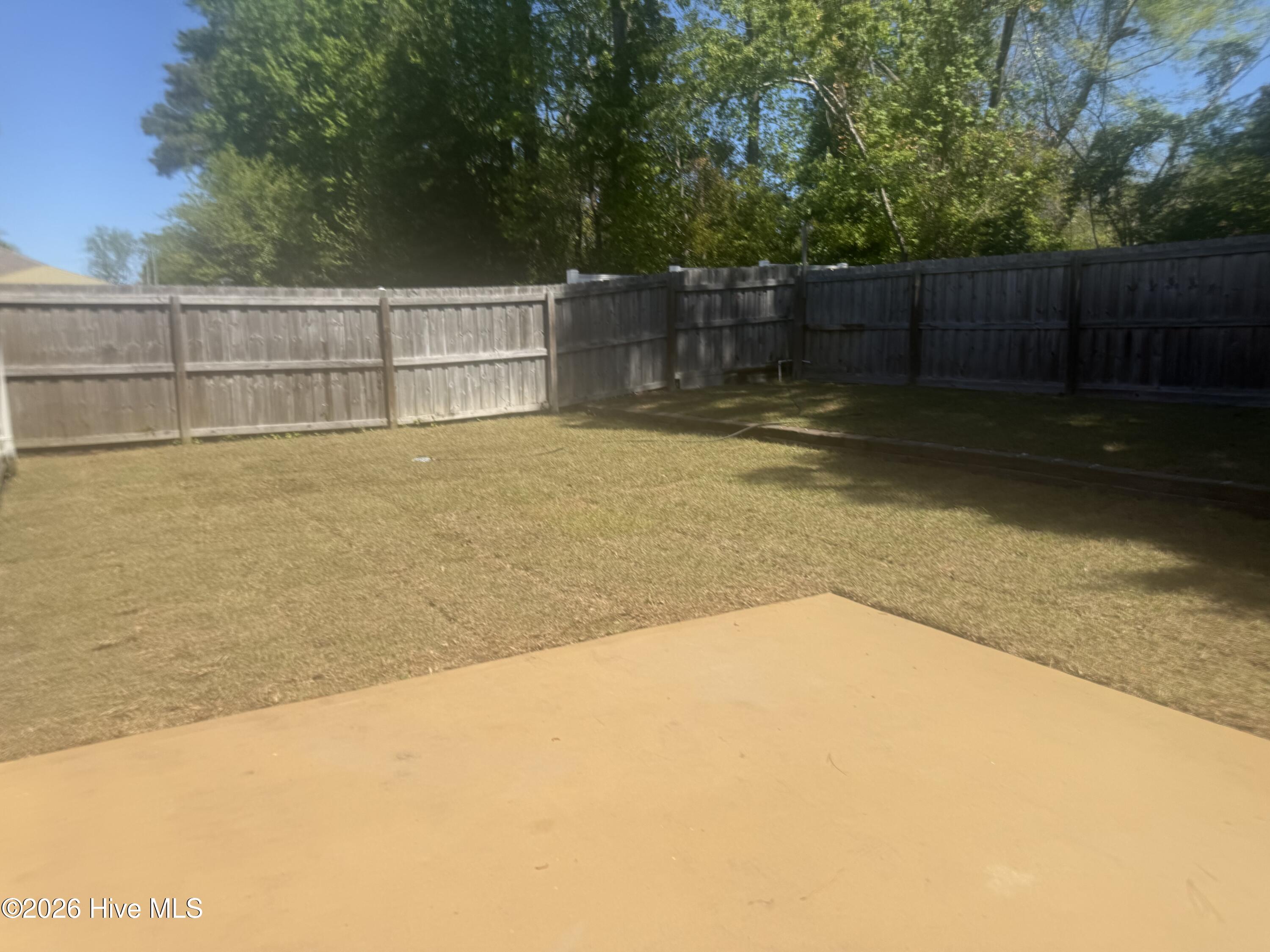 100551981 | Photo 19