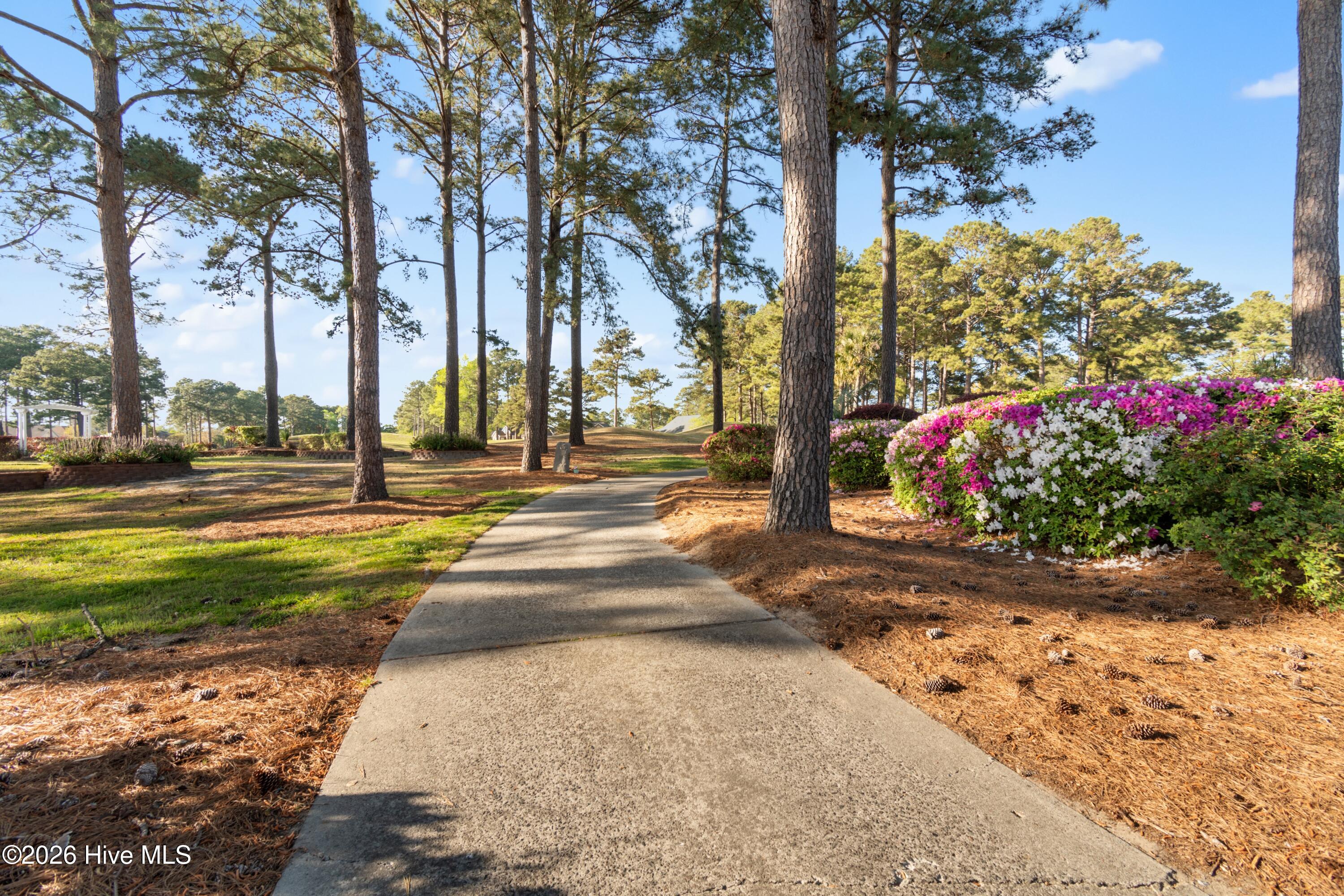 100564906 | Photo 49