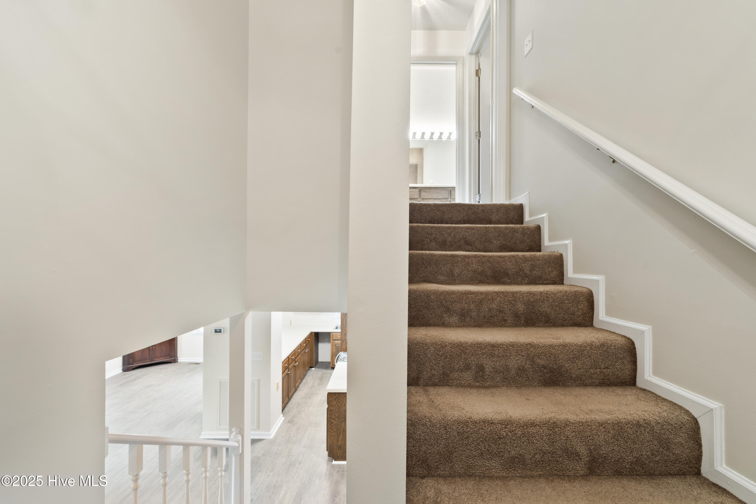 100515405 | Photo 30