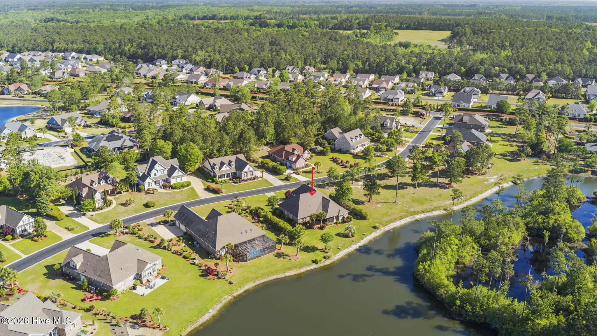 100568183 | Photo 48