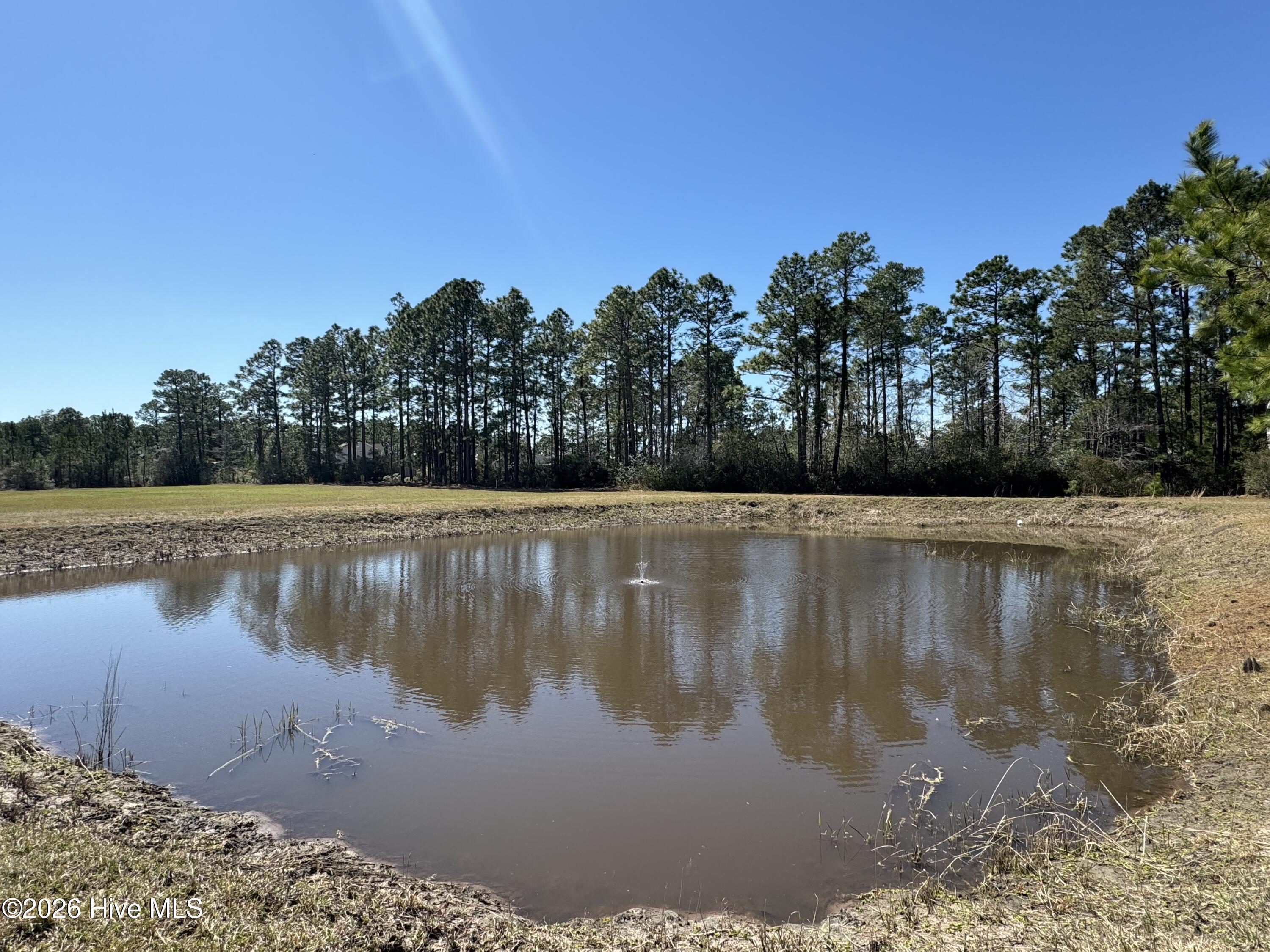 324 The Cove Lane NE, Leland, NC, 28451