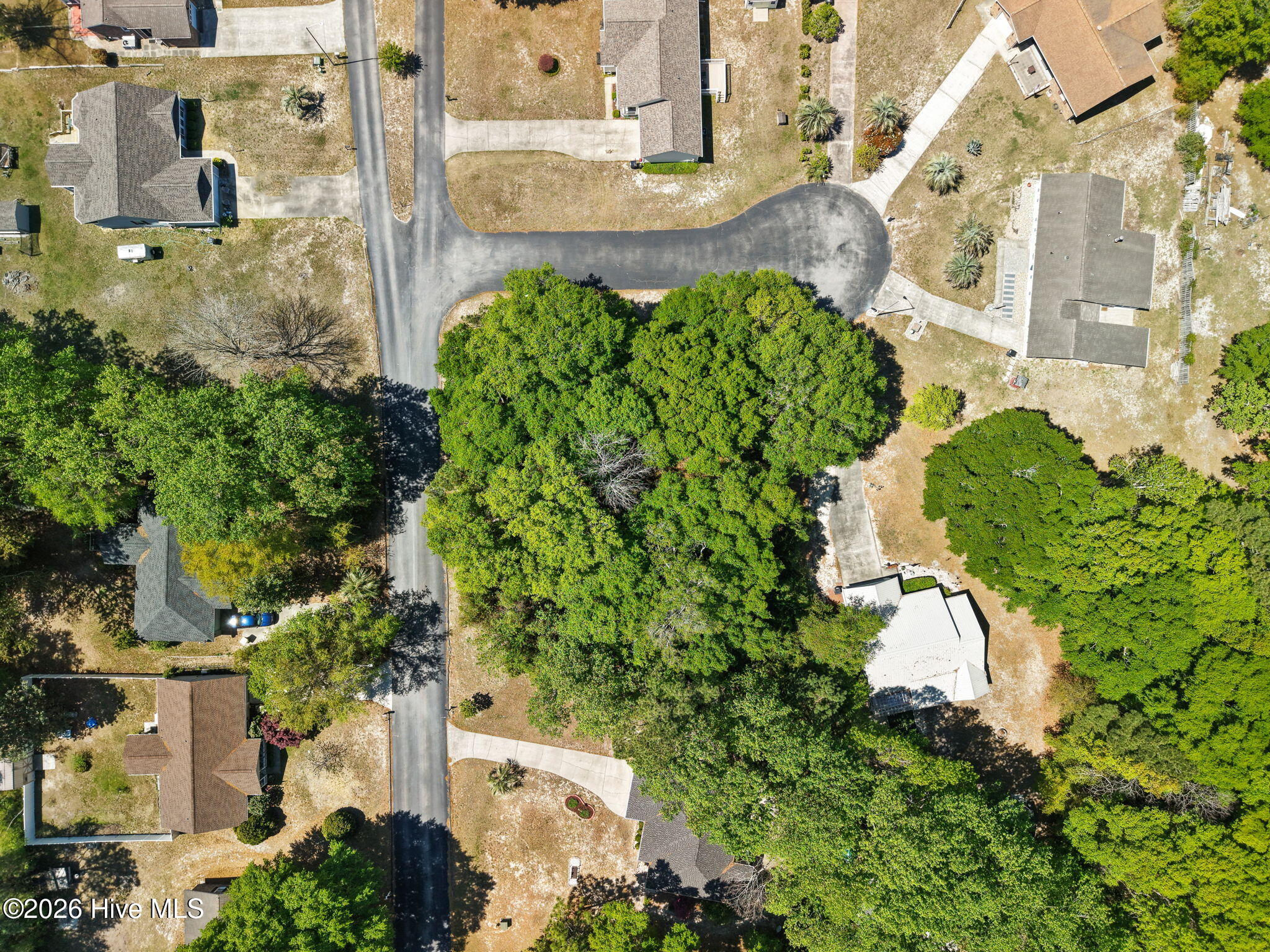 100566837 | Photo 12