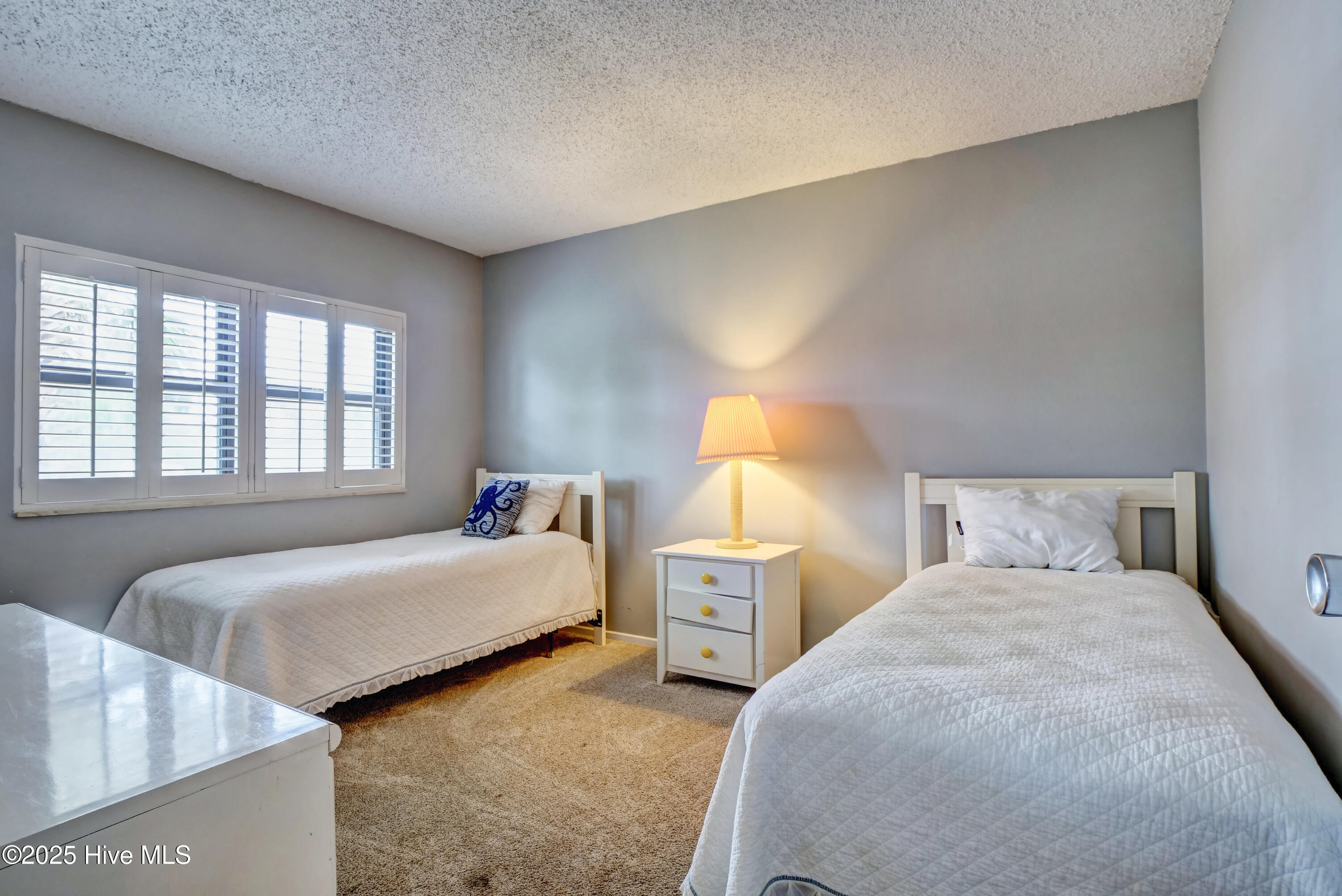 100541301 | Photo 17