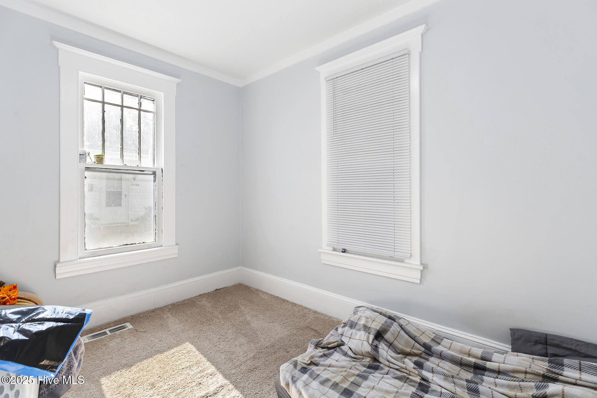 100540157 | Photo 22