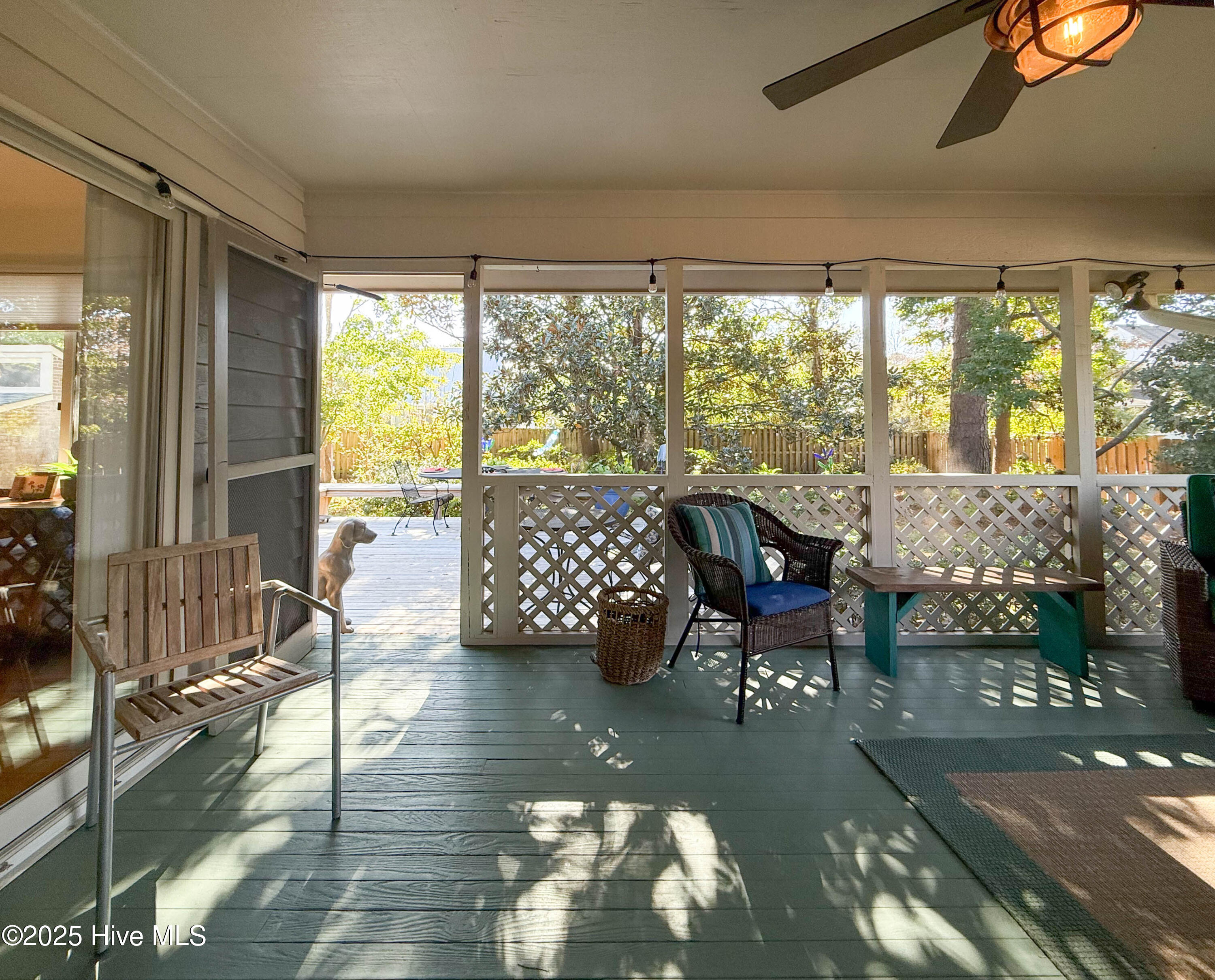 100538841 | Photo 58