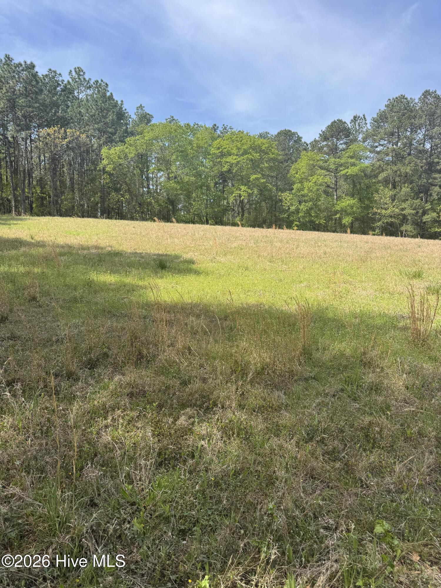 490 Springhill Church Road, Hamlet, NC, 28345