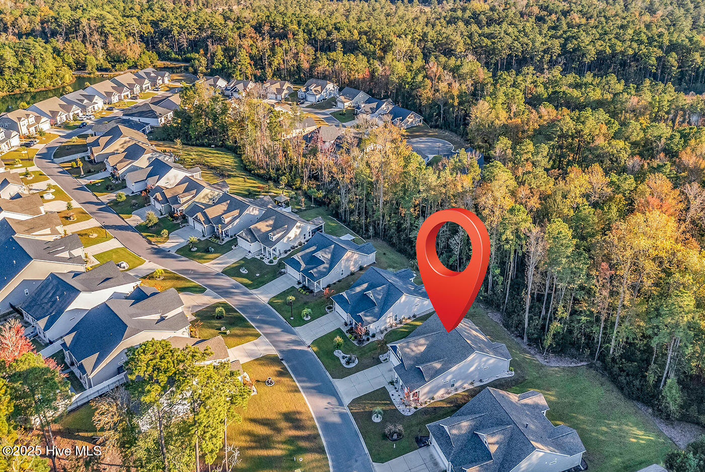 100539654 | Photo 55