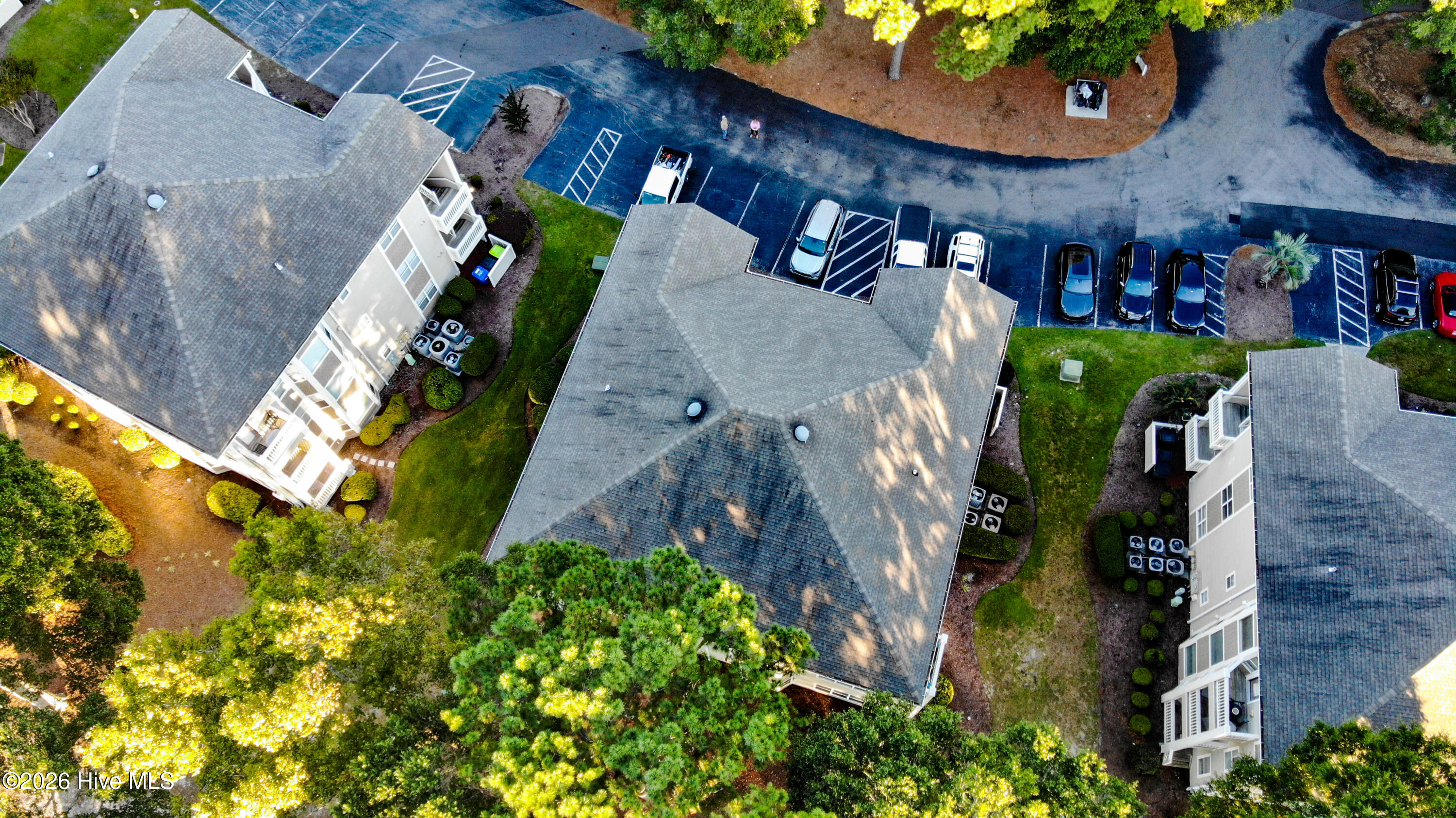 100608219 | Photo 2