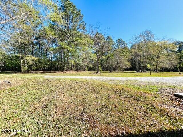 100566420 | Photo 78