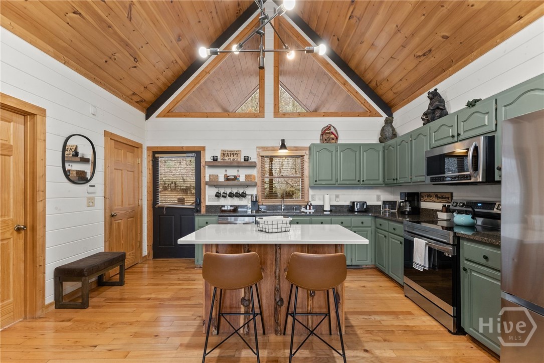 Homes for sale in Mineral Bluff, GA | 437 Spruce Cir, Mineral Bluff, GA 30559 | MLS# CL347970