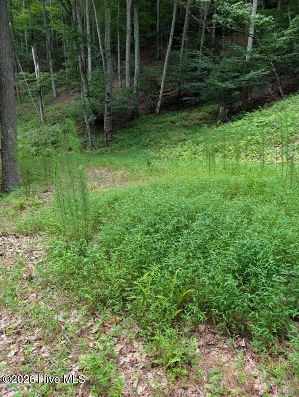 5th image of 190 Valley Crest Dr, Blairsville, GA 30512 | MLS# 100590267