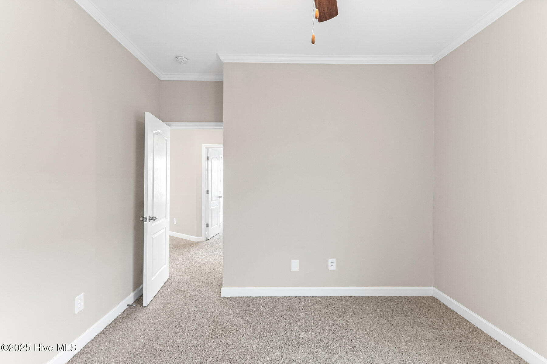 100538755 | Photo 38