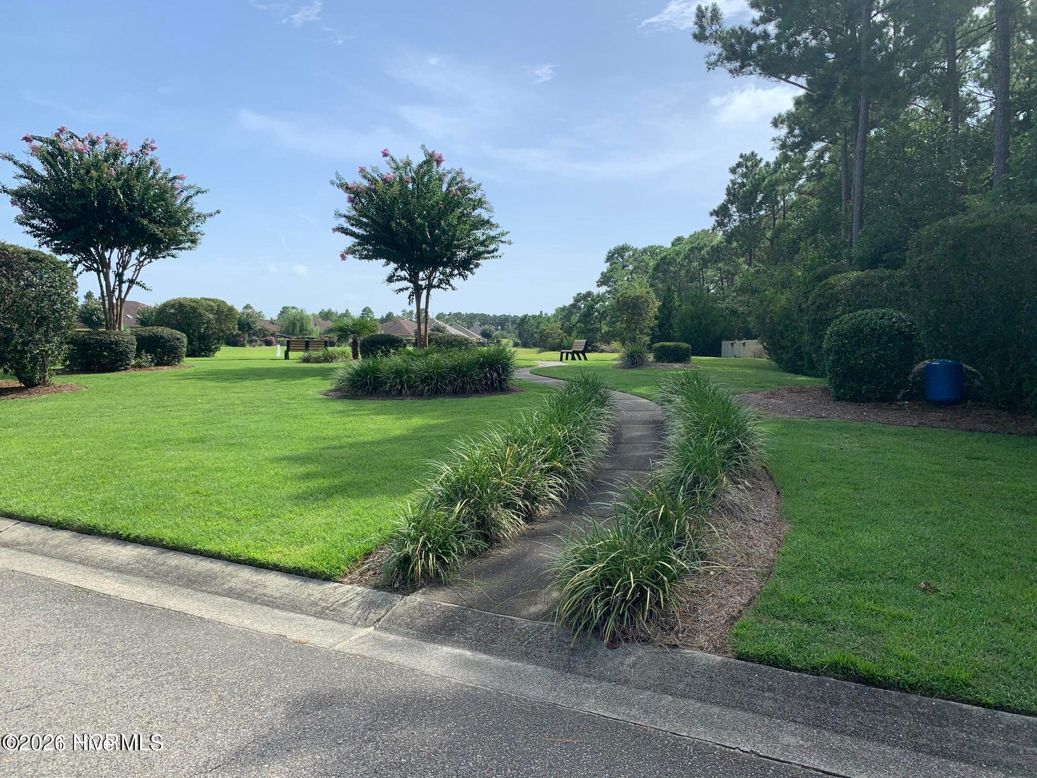 100537475 | Photo 60