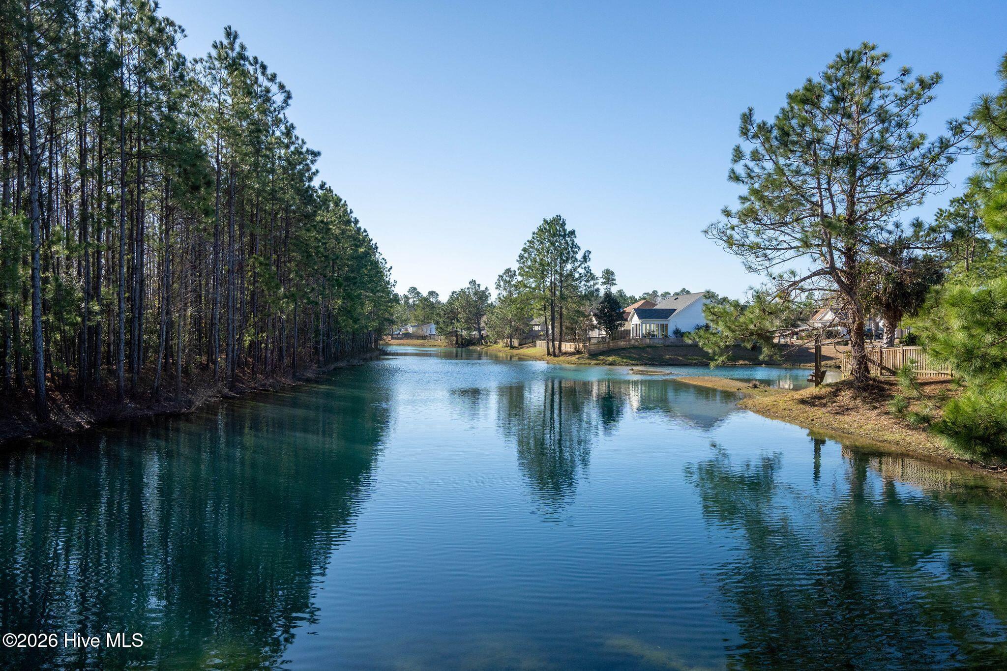 100570513 | Photo 55